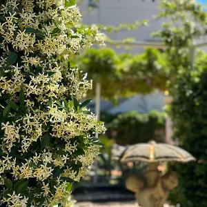Angelina , Giardini-Naxos Italien